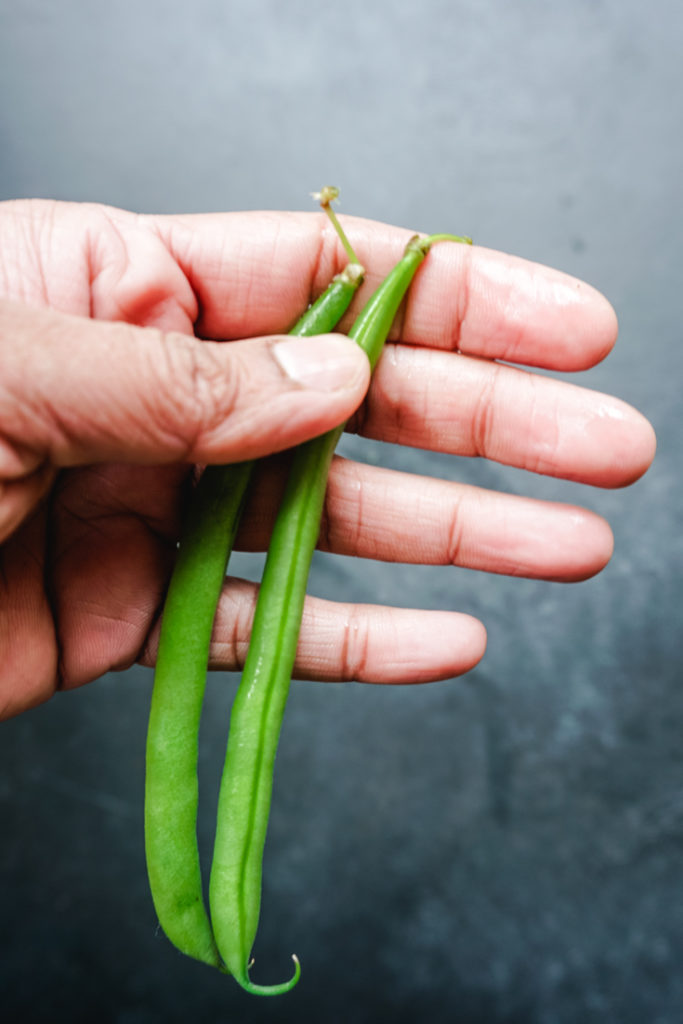 Two green beans in hand showing the stem ends